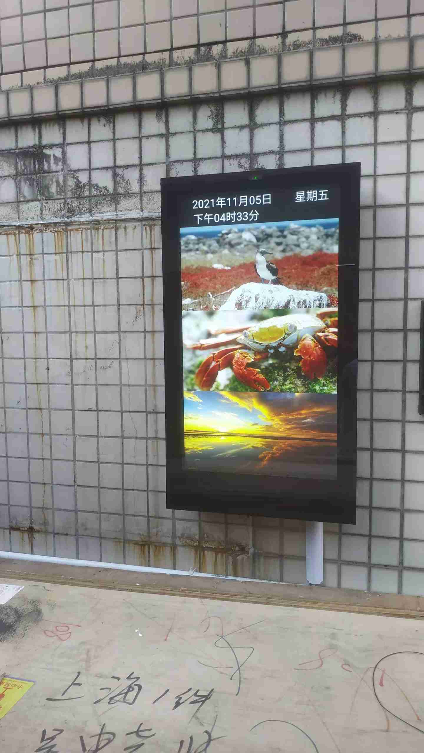 49 Inch Outdoor Wall-mounted Android Monitor