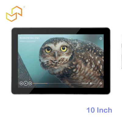 10 Inch Commercial Wall-Mounted Touchscreen Monitor